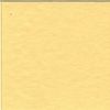 Frosted Yellow 12 x 12 Bazzill Cardstock