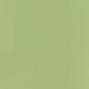 Everglade Green Bazzill Cardstock
