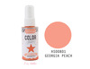 Georgia Peach Iridescent Color Shine Spritz- Heidi Swapp