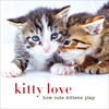 Kitty Love How Cute Kittens Play - Sterling Publishing