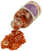 Pumpkin Spice - 28 Lilac Lane Embellishment Bottle Kit
