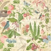 Botanical Tea Deluxe Collectors Edition - Graphic 45