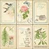 Botanical Tea Deluxe Collectors Edition - Graphic 45