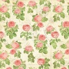 Botanical Tea Deluxe Collectors Edition - Graphic 45