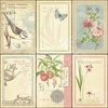 Botanical Tea Deluxe Collectors Edition - Graphic 45