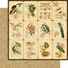 Tropical Travelogue Deluxe Collectors Edition - Graphic 45