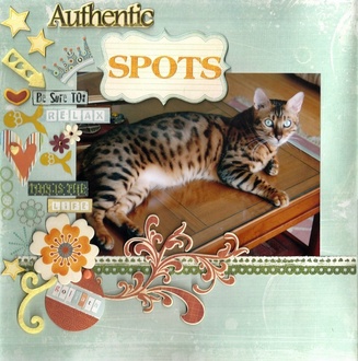 Authentic Spots