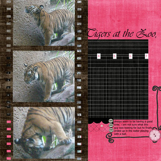 Tigers-Pink challenge