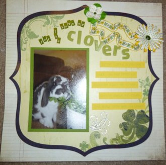 For the love of Clovers!