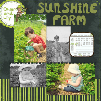 Sunshine Farm