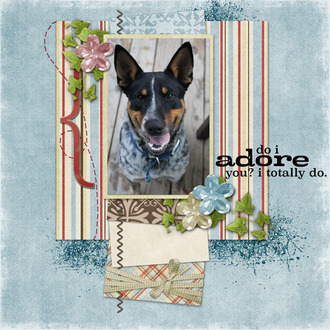 Koda-Adore you
