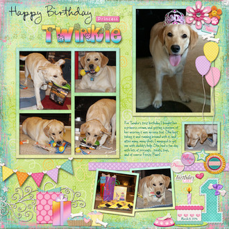 Happy Birthday Princess Twinkie