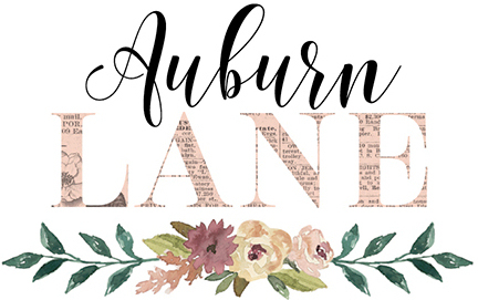 Auburn Lane Pink Paislee