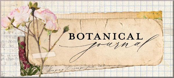 Botanical Journal Bo Bunny