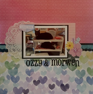 Ozzy & Morwen
