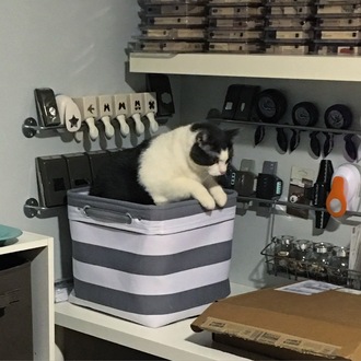 Non-crafting Scrappy Storage