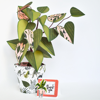 Paper Philodendron