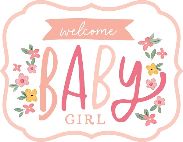Welcome Baby Girl Echo Park