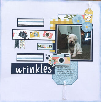 wrinkles (March 2022 Pick A Day Challenge)