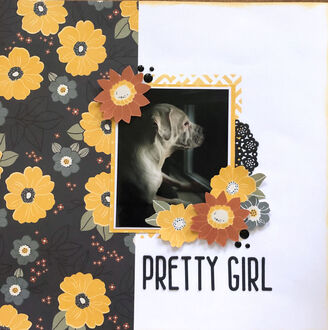 Pretty Girl (April 2022 Pet Challenge)