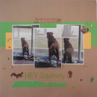 Hey Squirrely
