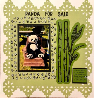 Panda for Sale