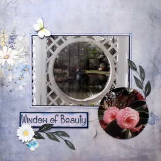 Window of Beauty
