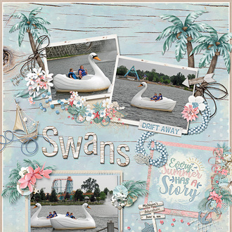 Swan Boats