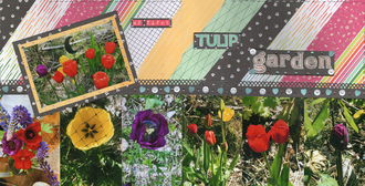 My First Tulip Garden