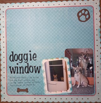 doggie window