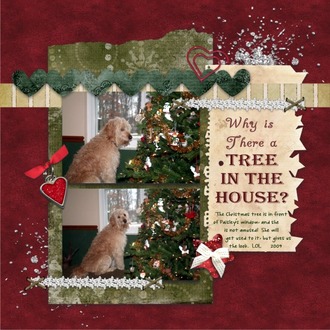 Tree in the House