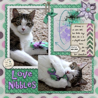Love Nibbles