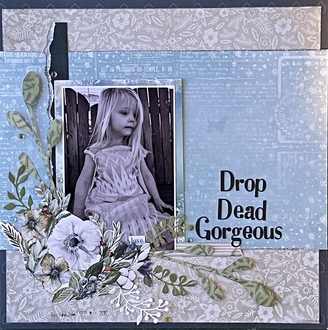 Drop Dead Gorgeous/ Nov Movie(D)