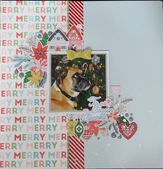 Ruger-Christmas 2016