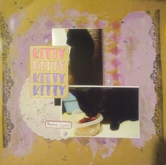 Kitty Kitty Kitty Kitty