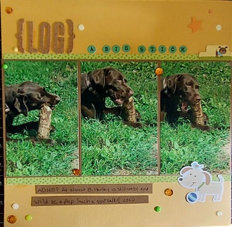 Log - A Big Stick