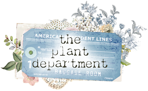The Plant Department Prima