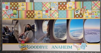 Goodbye Anaheim