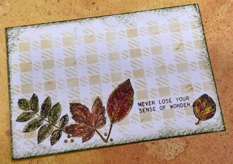 Fall Leaves Postcard