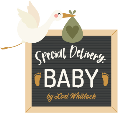 Special Delivery Baby Echo Park Lori Whitlock
