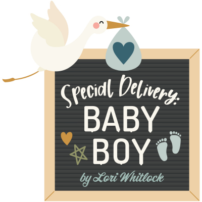 Special Delivery Baby Boy Echo Park Lori Whitlock