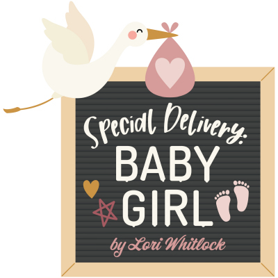 Special Delivery Baby Girl Echo Park Lori Whitlock