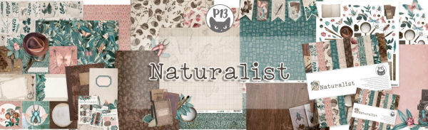 Naturalist P13