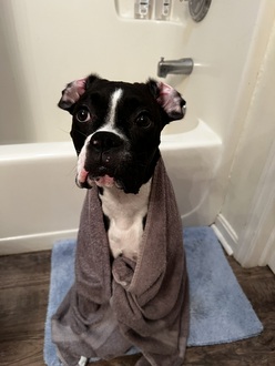 Bath time!