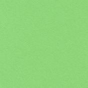 Katydid 12 x 12 Bazzill Cardstock