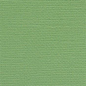 Guacamole 12 x 12 Bazzill Cardstock