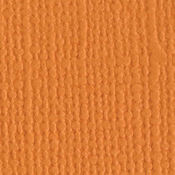 Apricot 12 x 12 Bazzill Cardstock