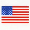 American Flag Patch - Mrs Grossman's Stickers