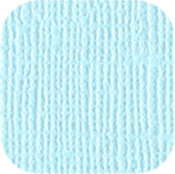 Sparkle 12 x 12 Bazzill Cardstock