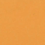 Mango 12 x 12 Bazzill Cardstock